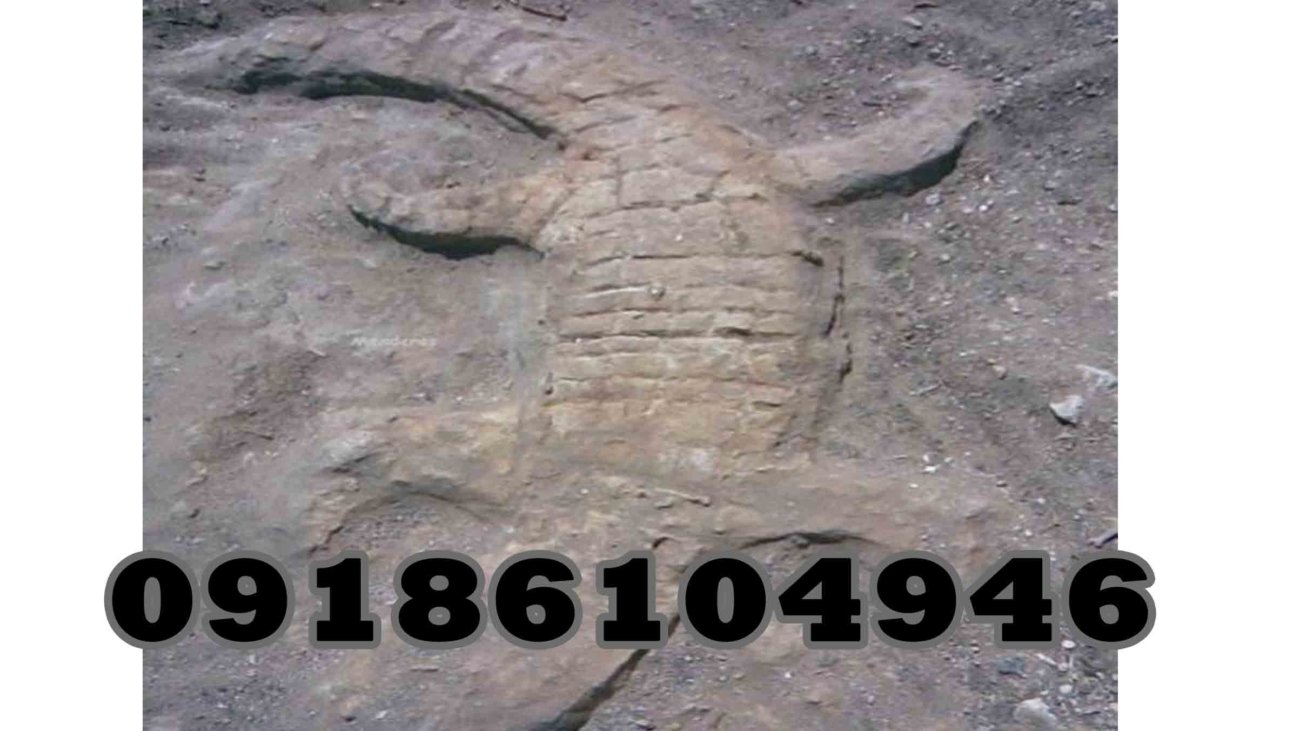 Crocodile sign in burial