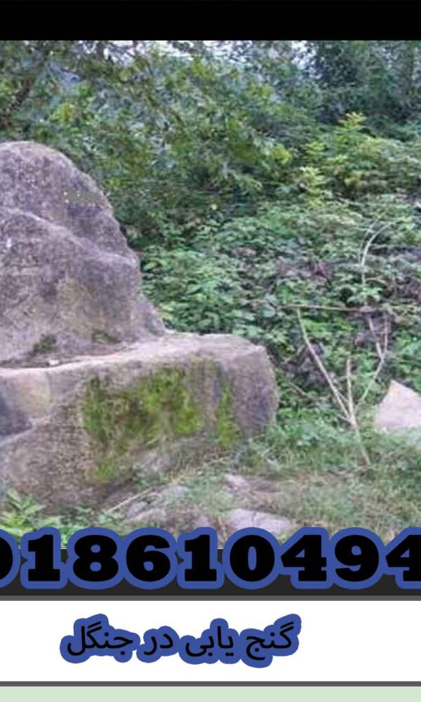 گنج یابی در جنگل