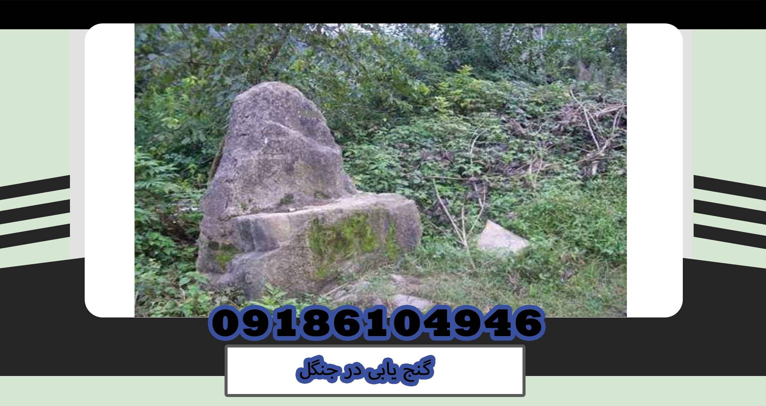 گنج یابی در جنگل