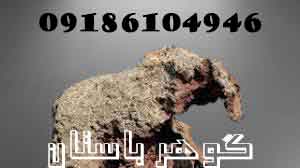 نشانه فیل در گنجیابی