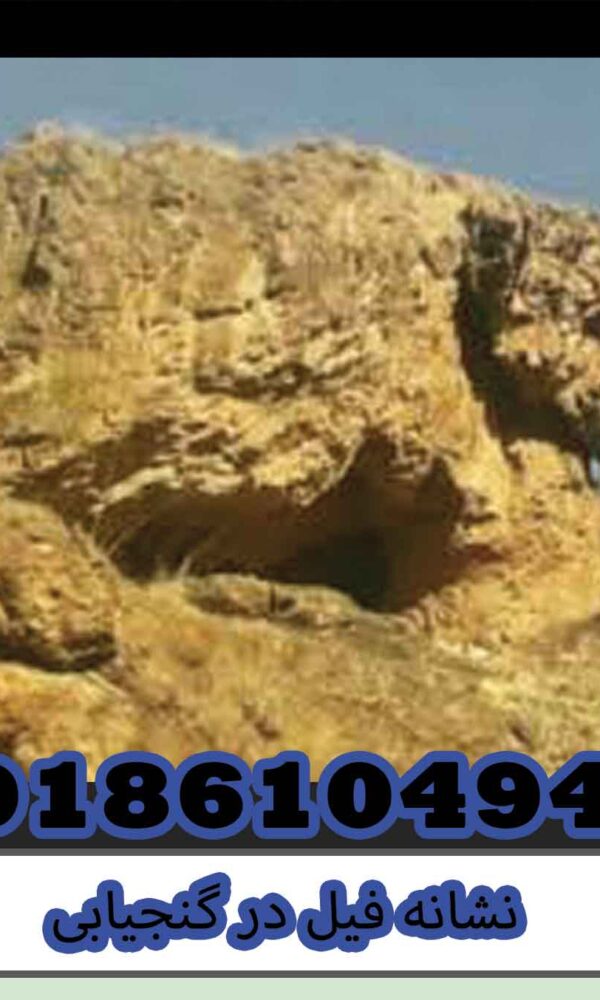 نشانه فیل در گنجیابی