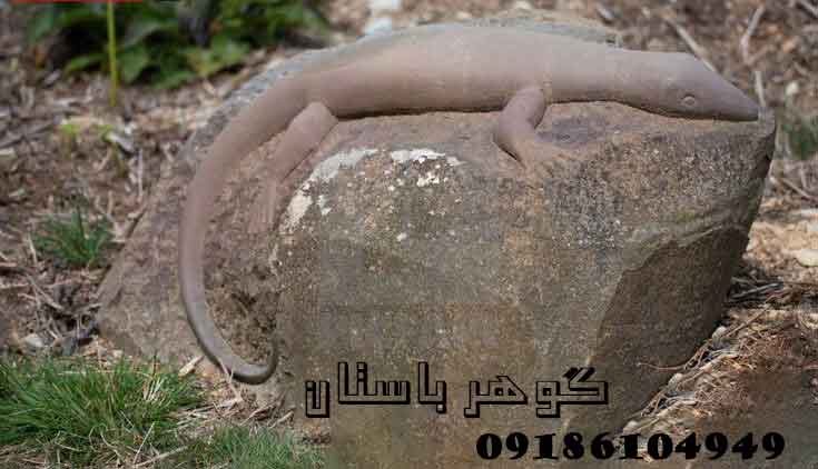 نشانه تمساح در دفینه یابی
