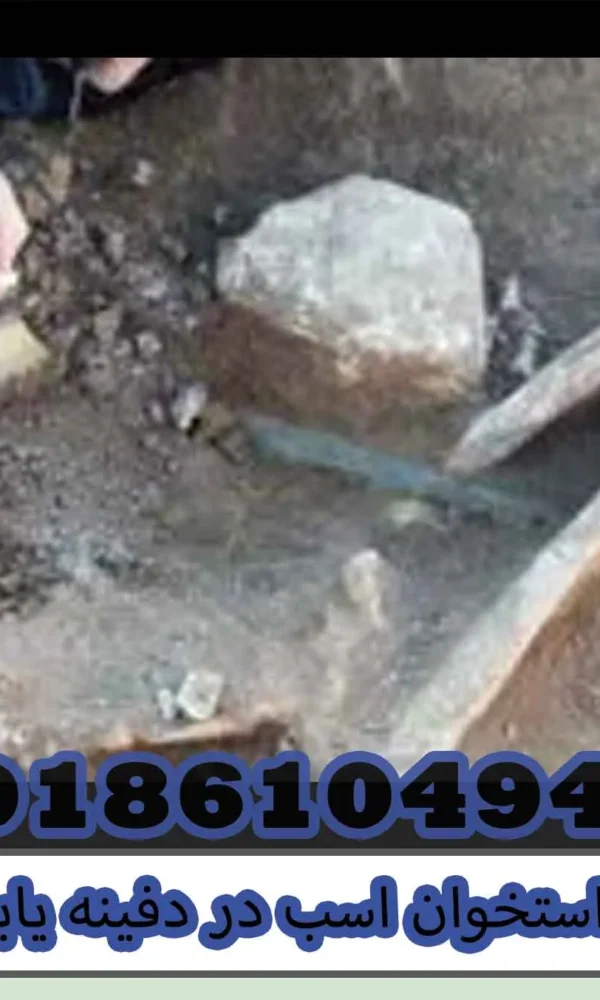 استخوان اسب در دفینه یابی
