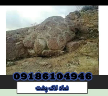 نماد لاک پشت