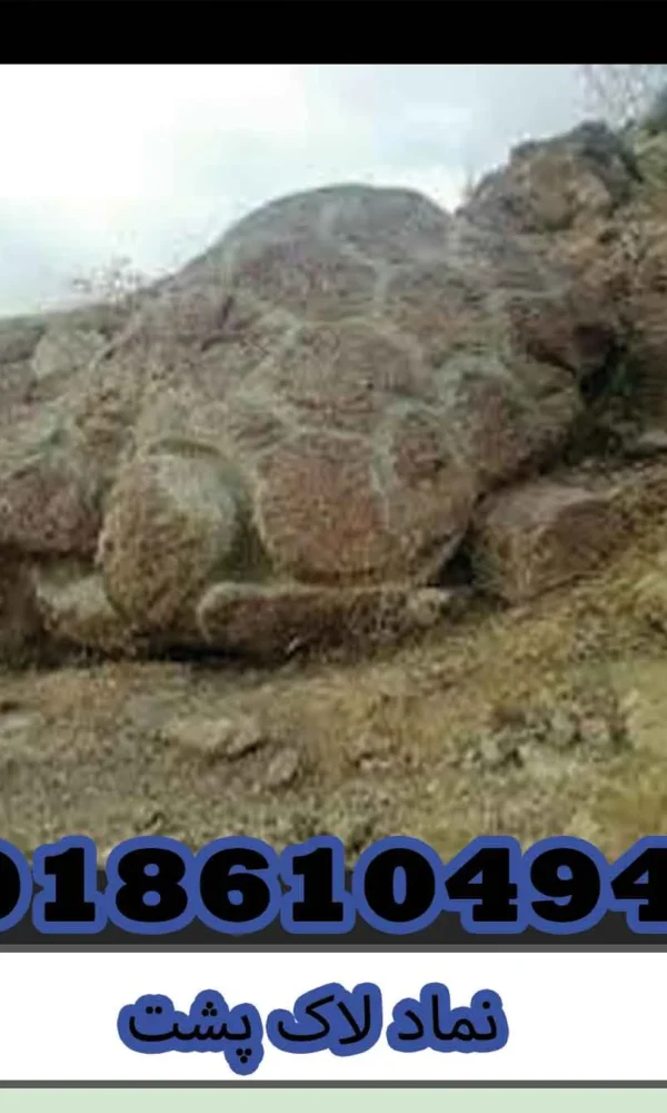 نماد لاک پشت
