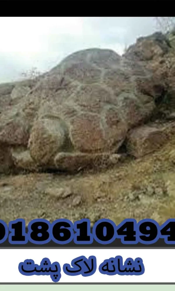 نشانه لاک پشت