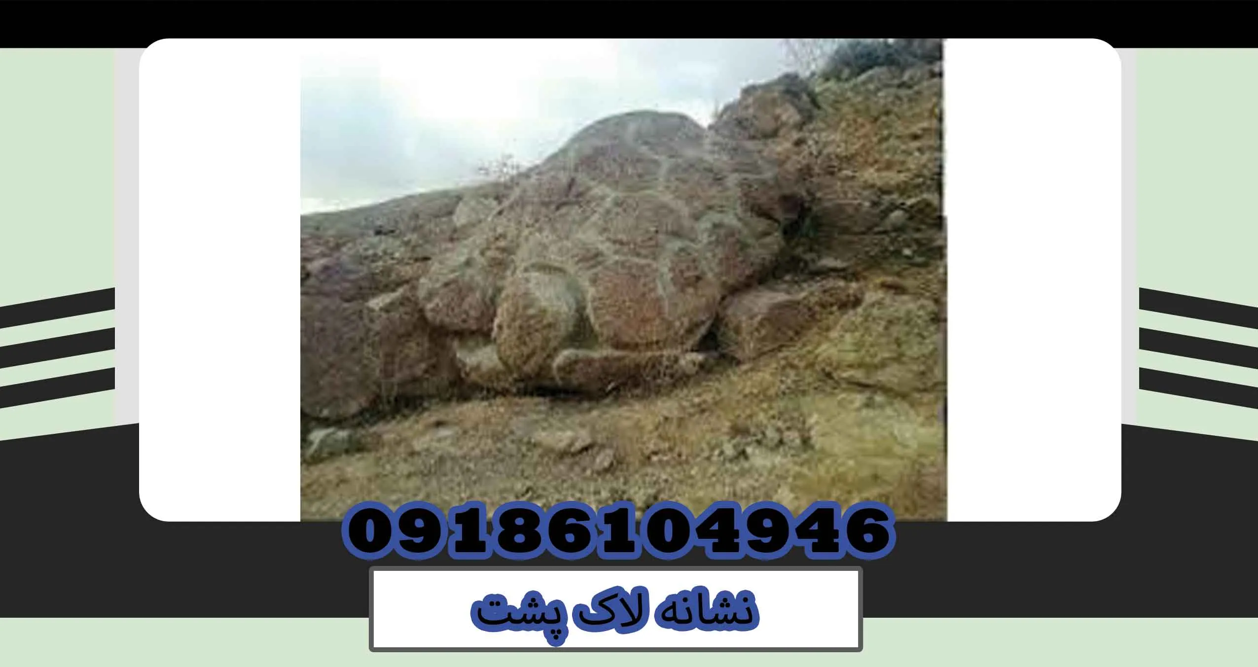 نشانه لاک پشت