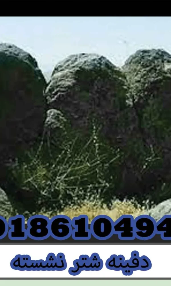 دفینه شتر نشسته