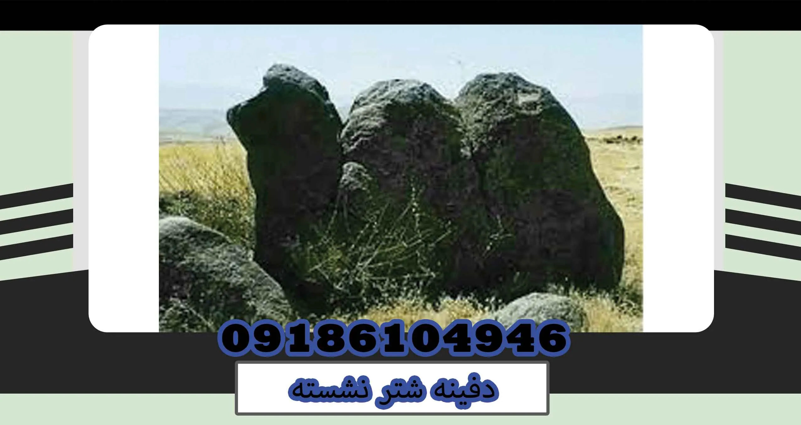 دفینه شتر نشسته