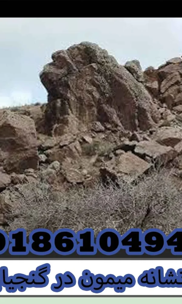 نشانه میمون در گنجیابی