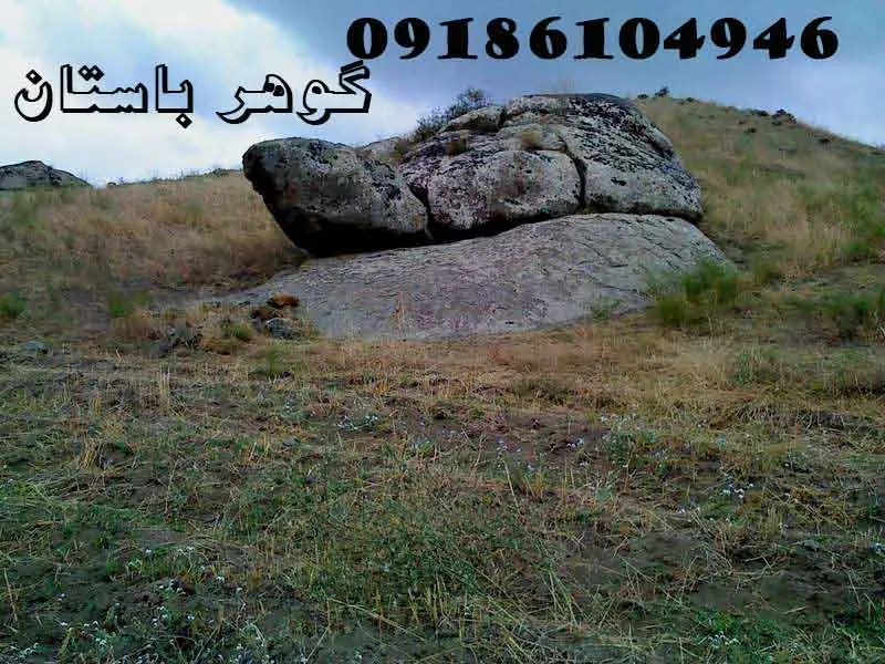 نشانه لاک پشت