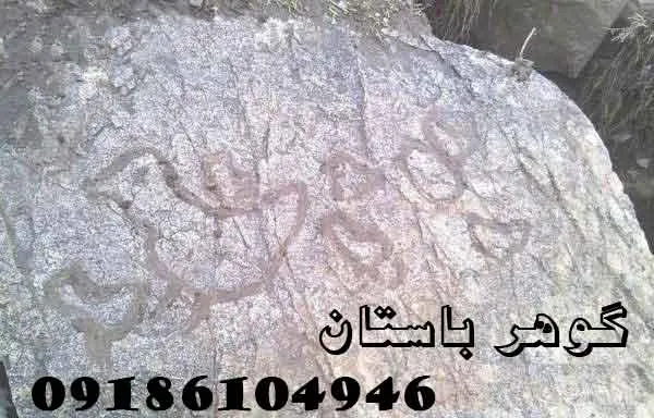 نشانه مرغ و جوجه در گنج یابی