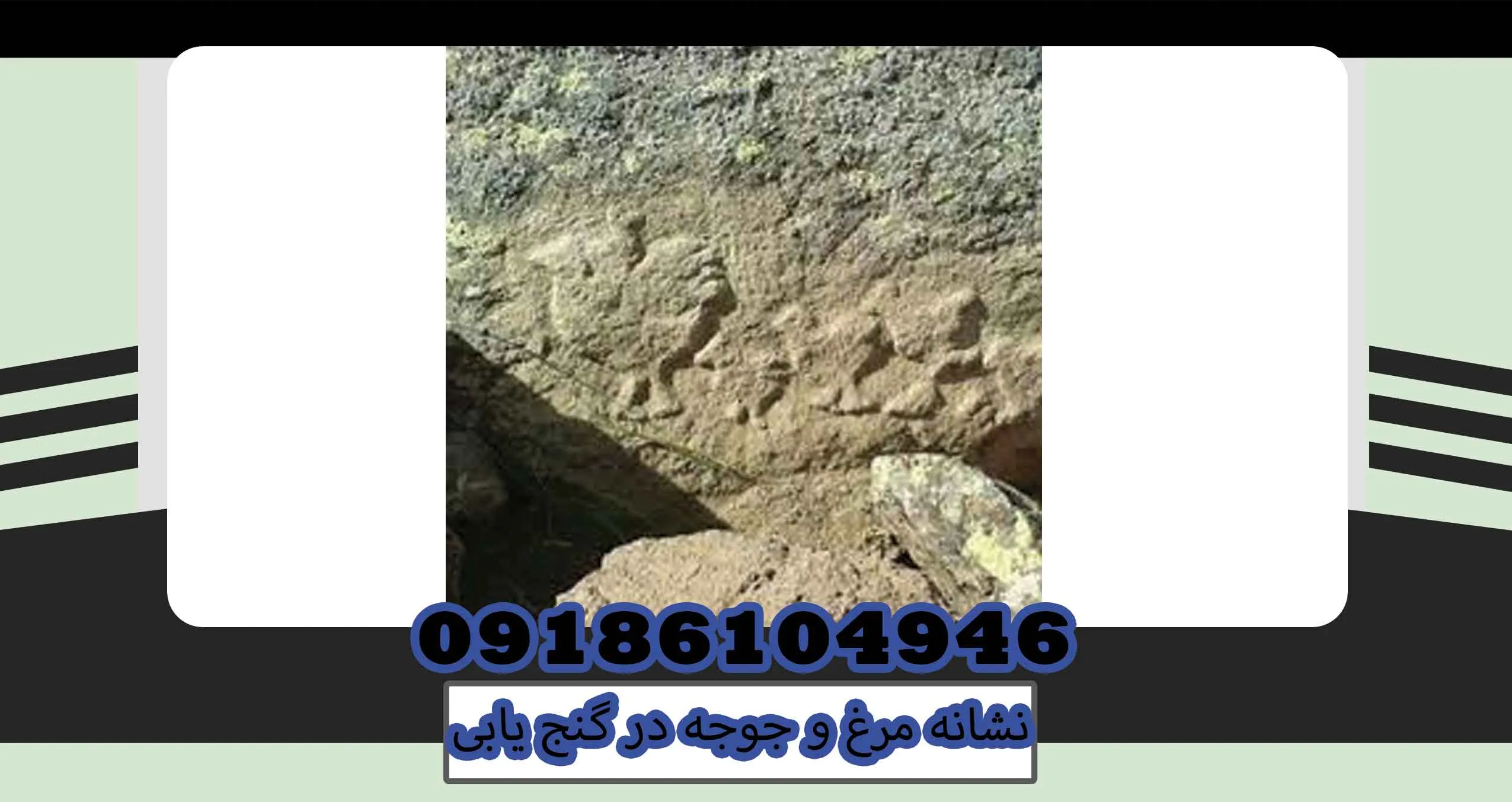 نشانه مرغ و جوجه در گنج یابی