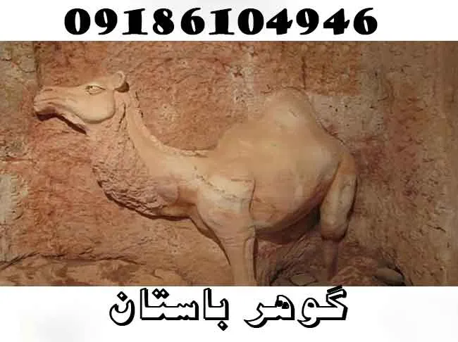 دفینه شتر نشسته