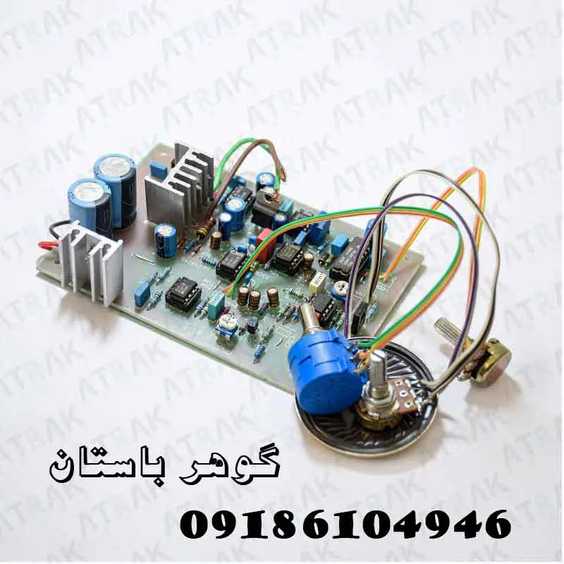 فلزیاب پالسی