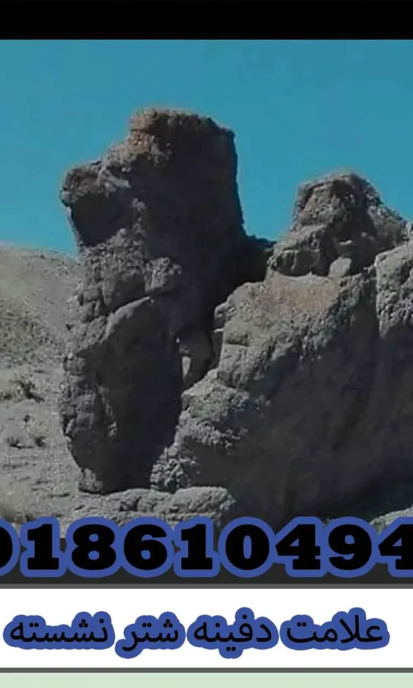 علامت دفینه شتر نشسته