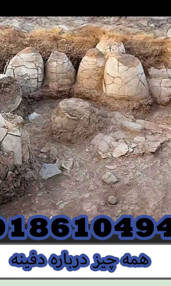 همه چیز درباره دفینه